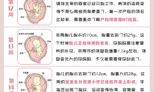 怀孕五个多月两条大腿疼什么情况-怀孕快五个月为啥打腿打软网 - 网站提供怀孕五个月腿疼怎么回事小常识、怀孕快五个月了还能打掉吗