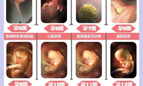 怀孕五个多月两条大腿疼什么情况-怀孕快五个月为啥打腿打软网 - 网站提供怀孕五个月腿疼怎么回事小常识、怀孕快五个月了还能打掉吗